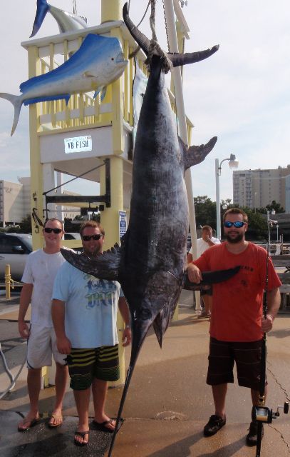 State Record Swordfish, Caught by Joseph T Harris on September 1, 2012