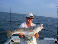 red drum pic